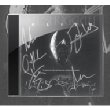 Alive (Signed)