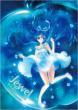 Jewel Carnelian Artworks �����