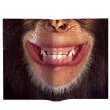 Animal Mask Book Cover (Chimpanzee)