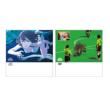 [Both Purchasers Novelty] Shinya Waku +Chin Play Kou Play (DVD) Tokyo Incidents (Ringo Shiina)