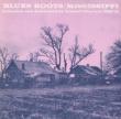 Blues Roots Mississippi