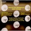 Arthur Vidrich: Voices Of Trumpets & Organ
