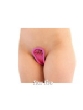 �V�[�X���[�h�b�gc�X�g�����O / ���[�Y�s���N �Z�N�V�[�����W�F���[ Sexy���V��