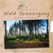 Wald Spaziergang