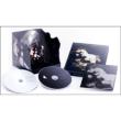 Bravely Default Flying Fairy Original Soundtrack