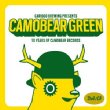 Camobear Green