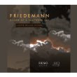 Echoes Of A Shattered Sky Friedemann