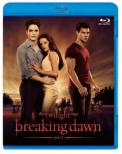 The Twilight Saga: Breaking Dawn Part1
