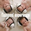 [Lawson HMV Limited Edition (Pre-order Limited)] experience [First Press Limited with DVD +Original Muffler Towel]