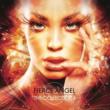 Fierce Angel Pres.Collection II