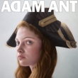 Adam Ant Is The Blueblack Hussar In Marrying The Gunner's Adam Ant