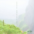 Soto Koto*midi Presents Vol.1 Humbert Humbert Selection