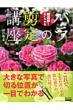 �͍��L�u