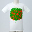 14 -T�V���c(Orange Tree)�ys�z / Mr.children Tour Goods