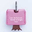 Key Cover (Pink)/ Tour Goods