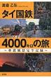 �n糉��O