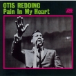 Pain In My Heart