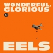 Wonderful, Glorious (10 Inch X 2)