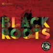 On The Ground In Dub Black Roots