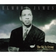 The Sky Is Crying -The Legendary Fire/Enjoy Sessions