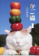Nose Neko Rekishi Kan-Shiro Chan Hen-