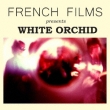 White Orchid