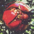 Enken Rock Best Ban 1996-2012