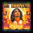 Big Mountain Best Groove