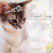Bridal Songs Orgel Collection