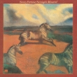 Serengeti Minstrel