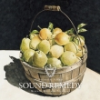 Sound Remedy -Folklove-Mixed By Kenichiro Nishihara