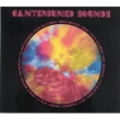 Canterburied Sounds �J���^�x���[ �T�E���h�̒a��