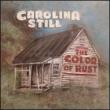 Color Of Rust