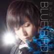 Blue Bird