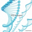Dna Repair (�\���t�F�W�I���g�����A�Ȋw�I�ɂ�dna�̐���ȓ����𑣂��Ƃ������g�������^)