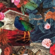 Takahe Collage