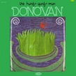 Hurdy Gurdy Man