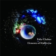 Elements Of Multiverse