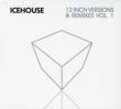 12 Inches -Vol 1
