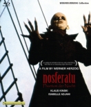 Nosferatu The Vampire