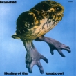 Healing Of The Lunatic Owl