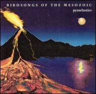 Birdsongs Of The Mesozoic/Pyroclastics