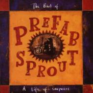 Prefab Sprout/Life Of Surprises： Best Of