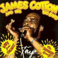 James Cotton/Live From Chicago - Mr. superharp Himself