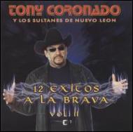 Tony Coronado Y Los Sultanes De Nuevo Leon/12 Exitos A La Brava Vol.2