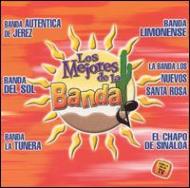 Various/Los Mejores De La Banda