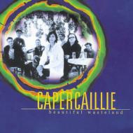 Capercaillie/Beautiful Wasteland