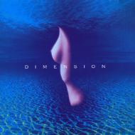 DIMENSION/First Dimension