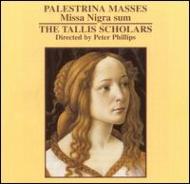 パレストリーナ（c.1525-1594）/Missa Nigra Sum： Phillips / Tallis Scholars