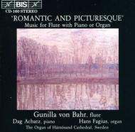 Flute Classical/Romantic And Picturesque： Bahr